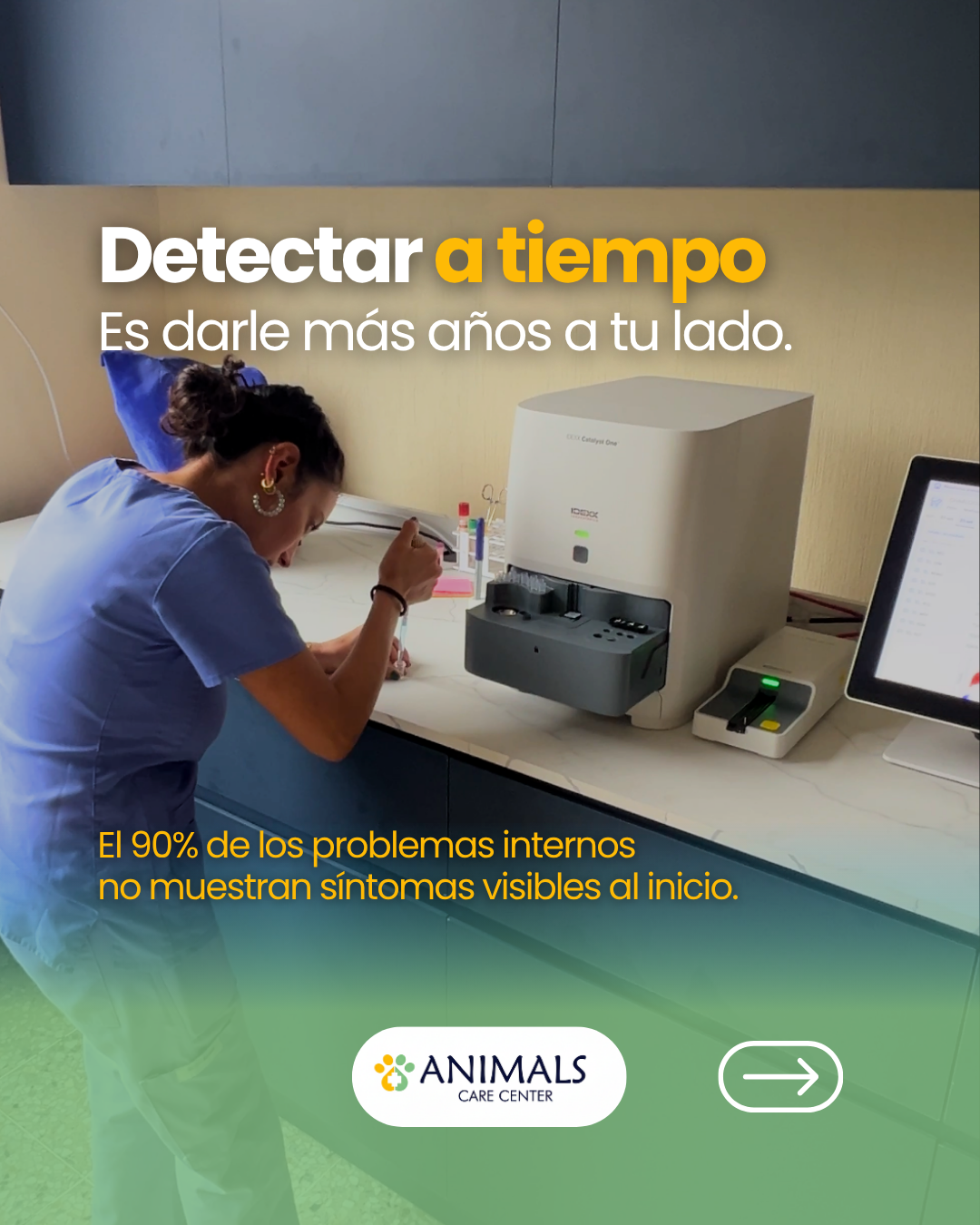 Ejemplo de Publicidad